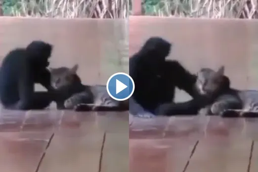 Viral video