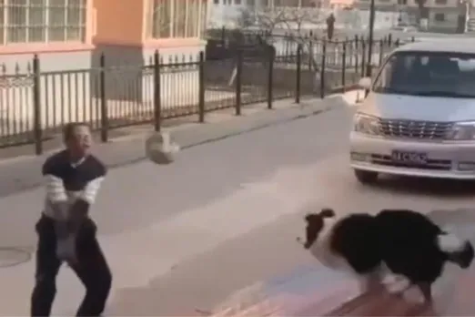 Viral video