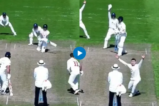Cricket Viral Video