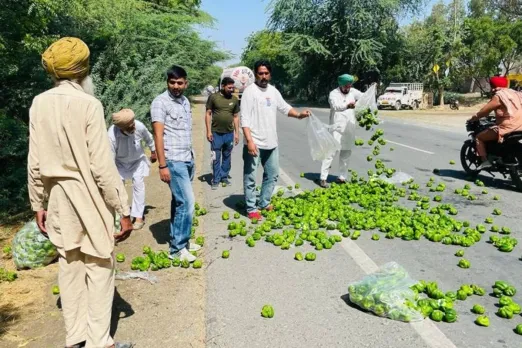 Vegetable price crash