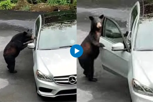 Viral video