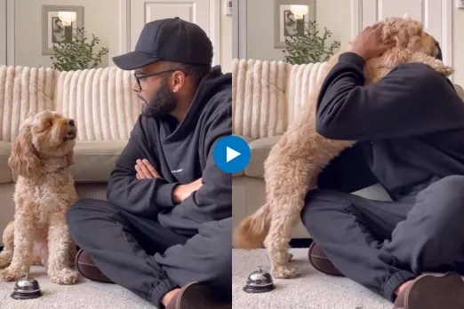 Viral video