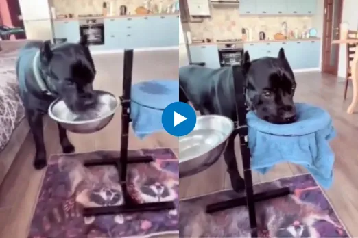 Viral video