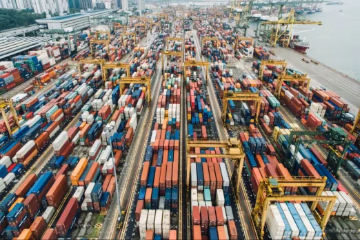 Indian exports