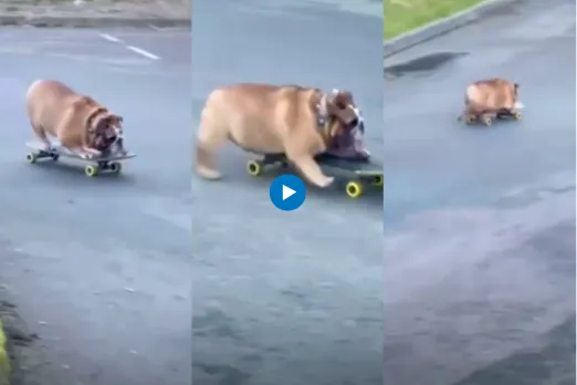 Viral video