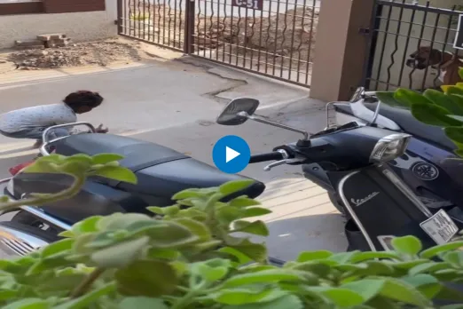 Viral video
