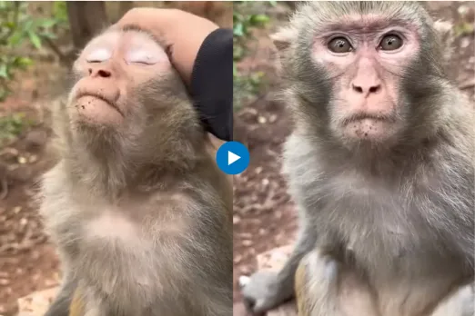 Viral video