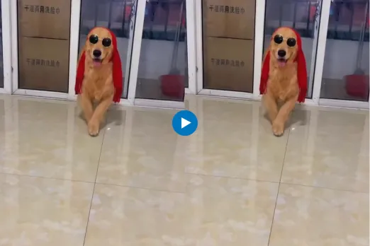 Viral video