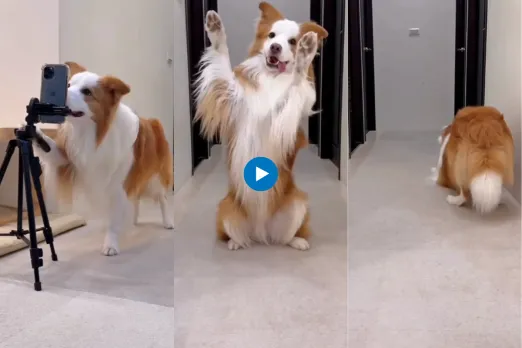 Viral video