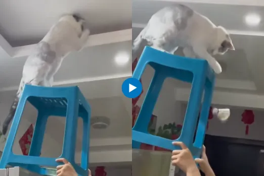 Viral video