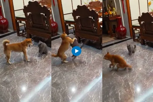 Viral video