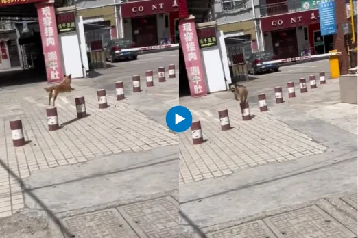 Viral video