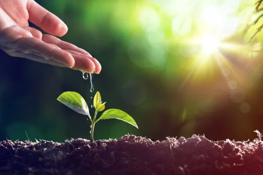 World Environment day 2023