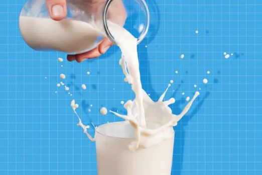 World Milk Day 2023