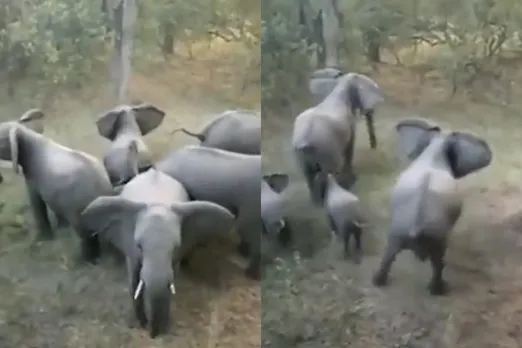 Viral Video