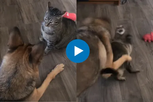 Viral Video