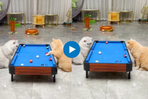 Viral Video