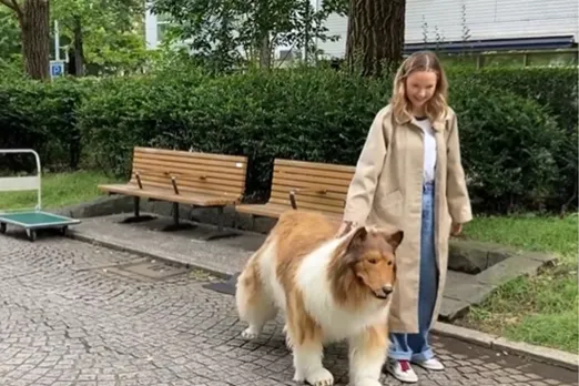 Viral video