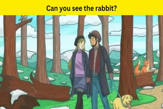 Optical illusion