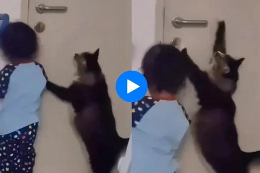 Viral Video