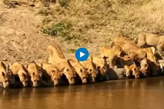 Viral video