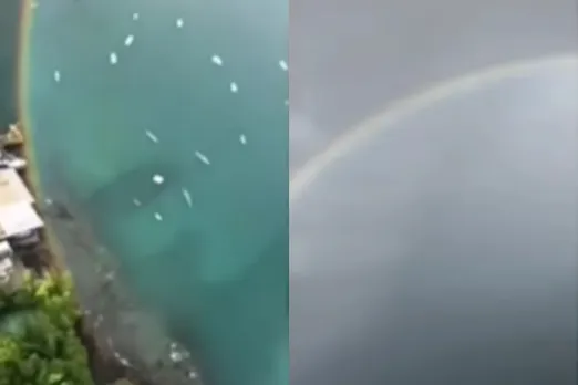 Viral video