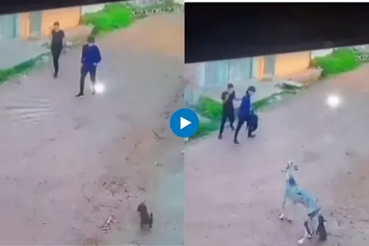 Viral Video