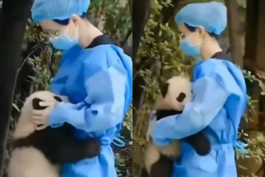 Viral Video