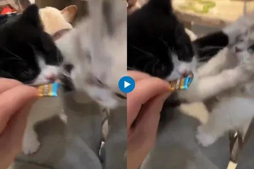 Viral video