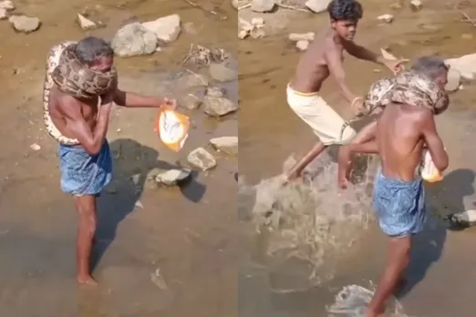 Viral video