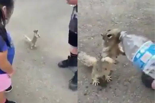 Viral video