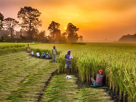 Prime Minister's Crop Insurance Scheme