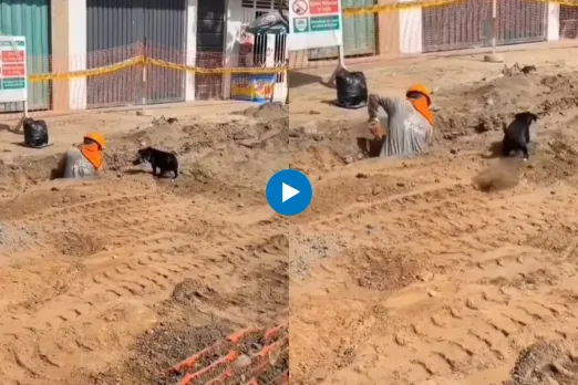 Viral video