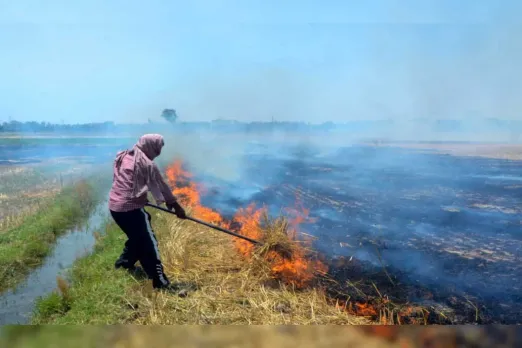 Stubble burning