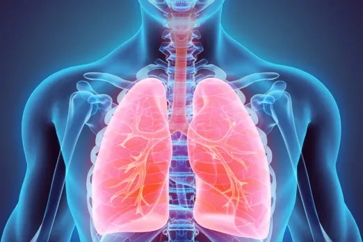 Lung Cancer 2023