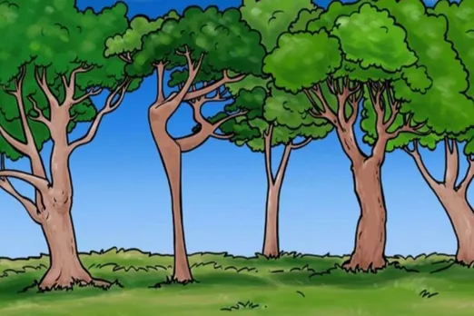 Optical Illusion
