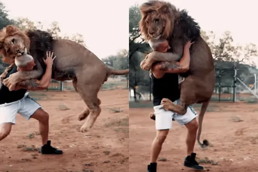 Viral Animal Video
