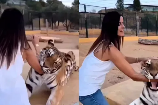 Viral Video