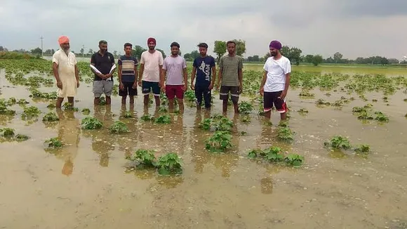 Punjab flood