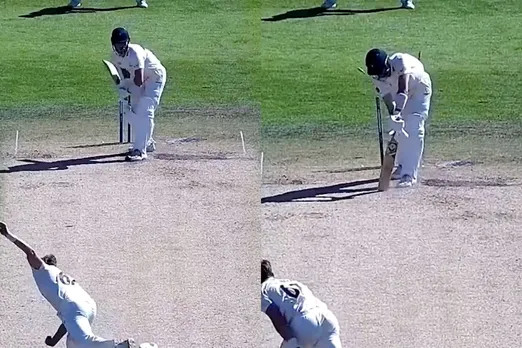 Cricket Viral Video