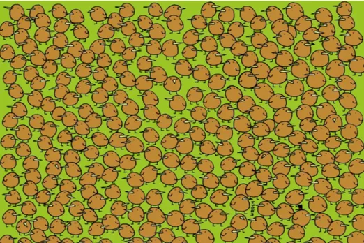 Optical Illusion