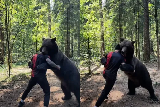 Viral Animal Video