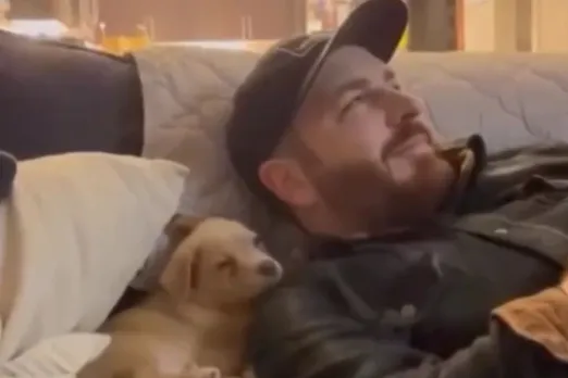 Animal Viral Video