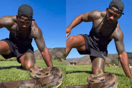 Animal Viral Video