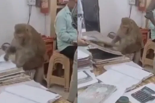 Viral Video