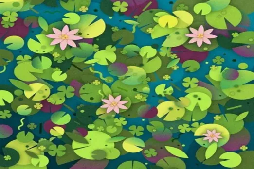 Optical Illusion