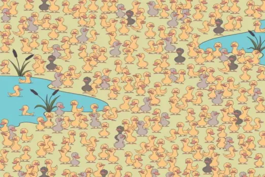 Optical Illusion