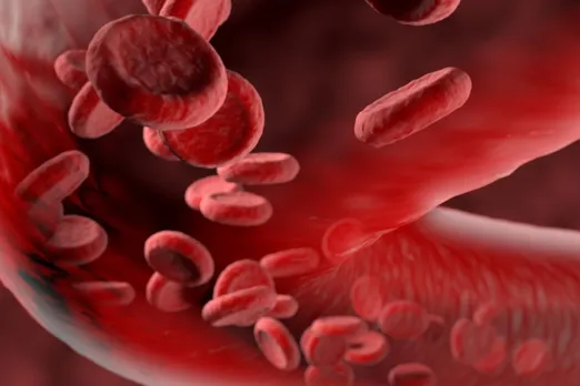 Health Tips: 7 Natural Blood Thinners to Prevent Stroke; Check Out