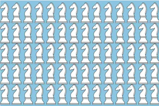 Optical Illusions