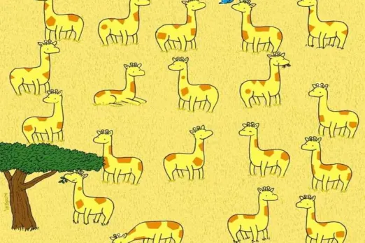 optical illusion